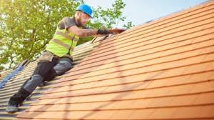 Best Roof Moss and Algae Removal  in Mayo, SC