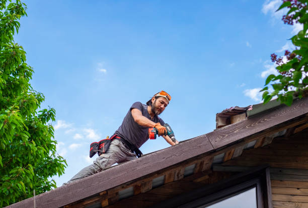 Fast & Reliable Emergency Roof Repairs in Mayo, SC