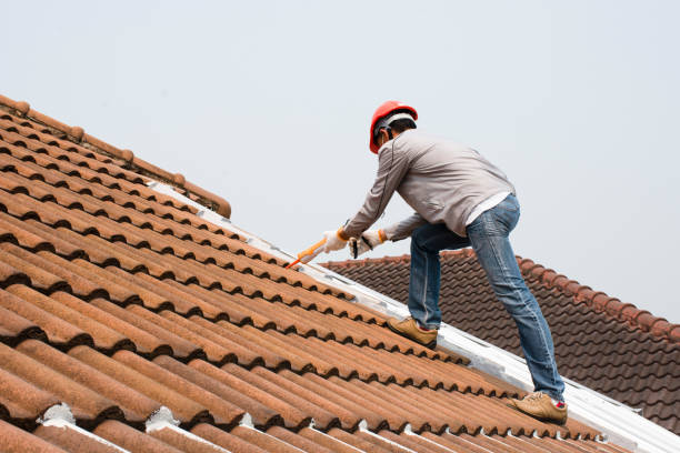 Best Roof Insulation Installation  in Mayo, SC
