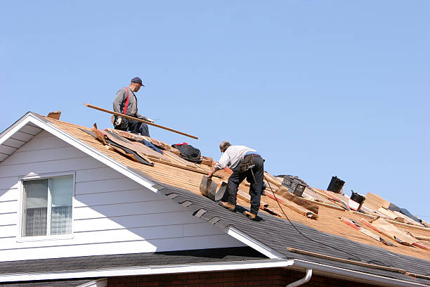 Best Roof Maintenance and Cleaning  in Mayo, SC