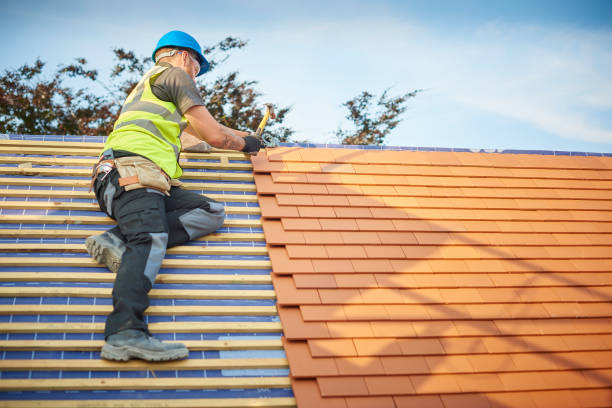 Best Storm Damage Roof Repair  in Mayo, SC
